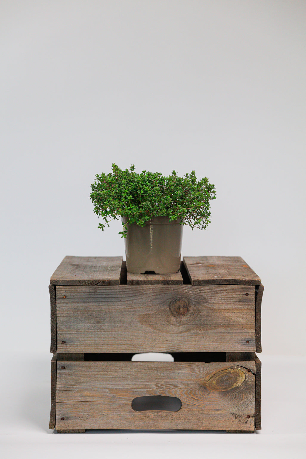 products/SotoProductShootLowQ-1737.jpg